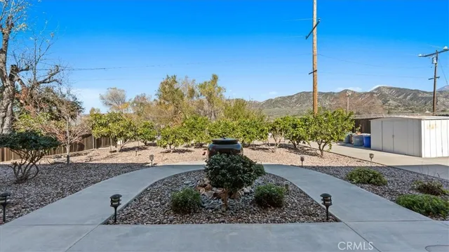 a view of a garden with a tree in front of it