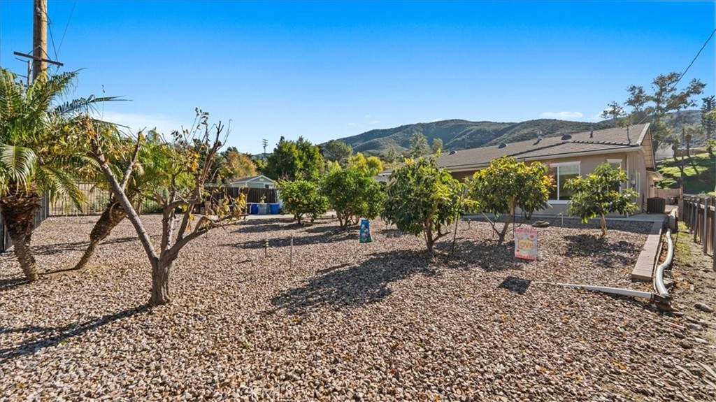 3059 Mill Creek Road Mentone, CA 92359 - Photo 30 of 39 a view of a backyard with large trees