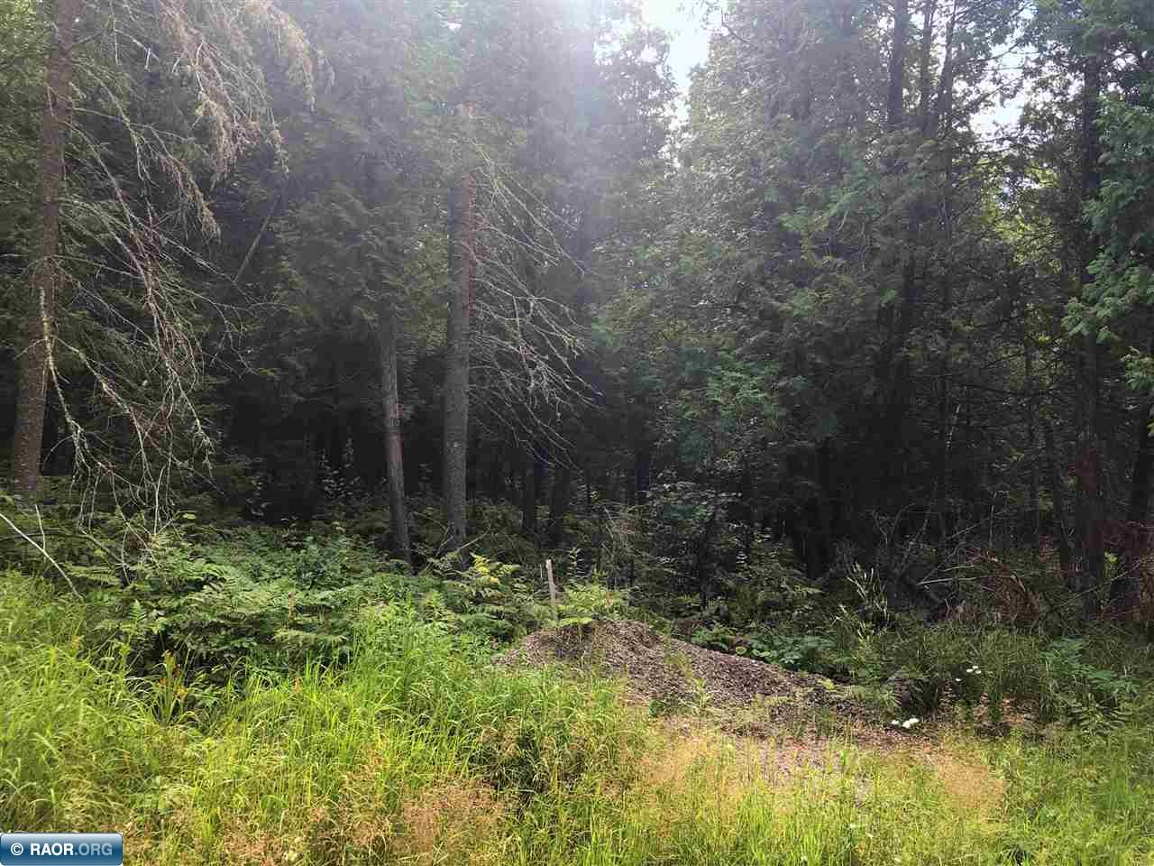 Tbd Glenmore Road Tower, MN 55790 - Photo 5 of 8