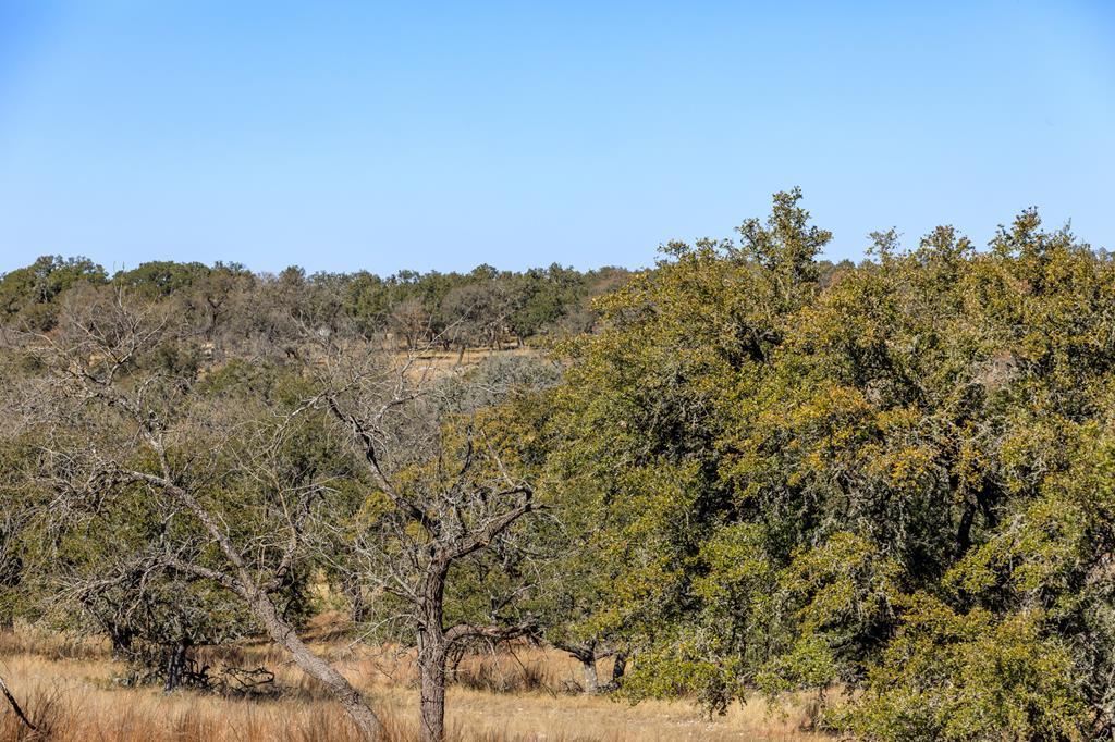 237 Dally Road Comfort, TX 78013 - Photo 2 of 37 Gallery Image 2