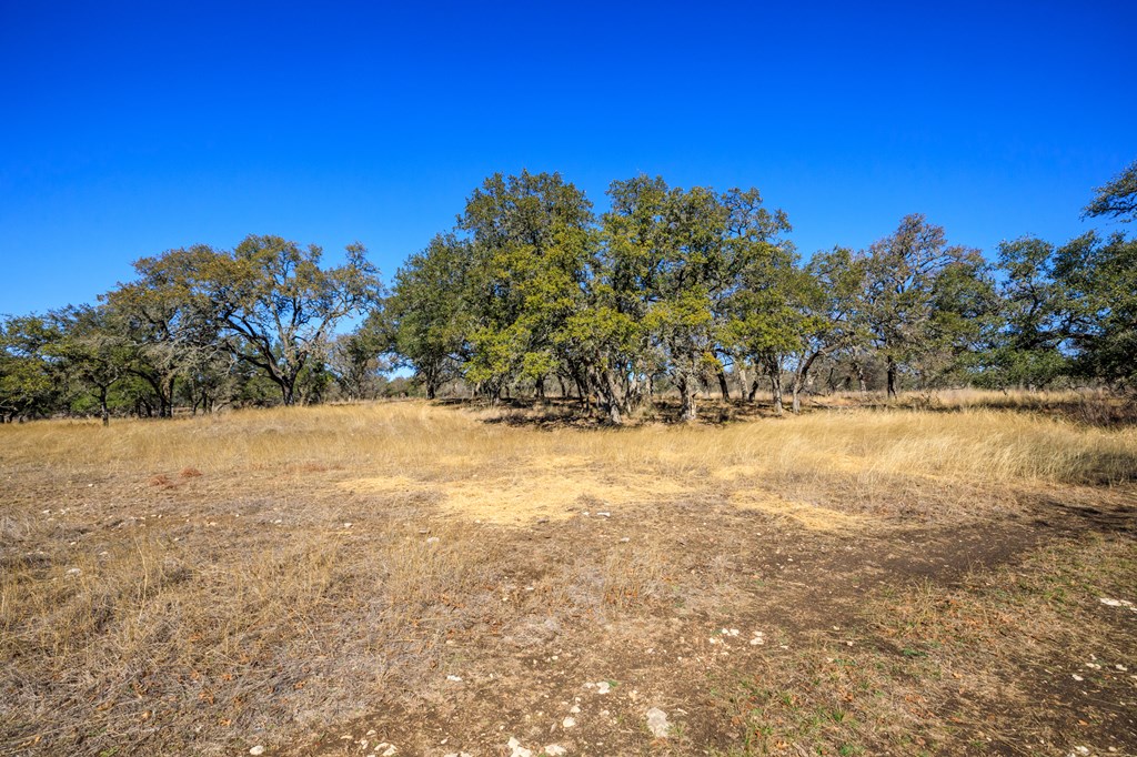 237 Dally Road Comfort, TX 78013 - Photo 5 of 37 Gallery Image 5