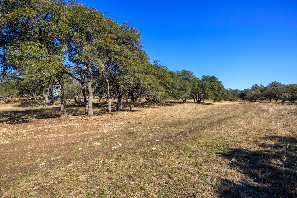 237 Dally Road Comfort, TX 78013 - Photo 7 of 37 Gallery Image 7