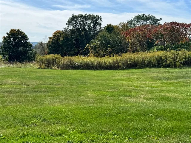 a view of a grassy field with trees