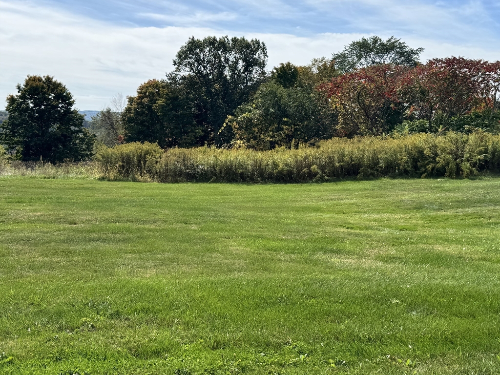 a view of a grassy field with trees