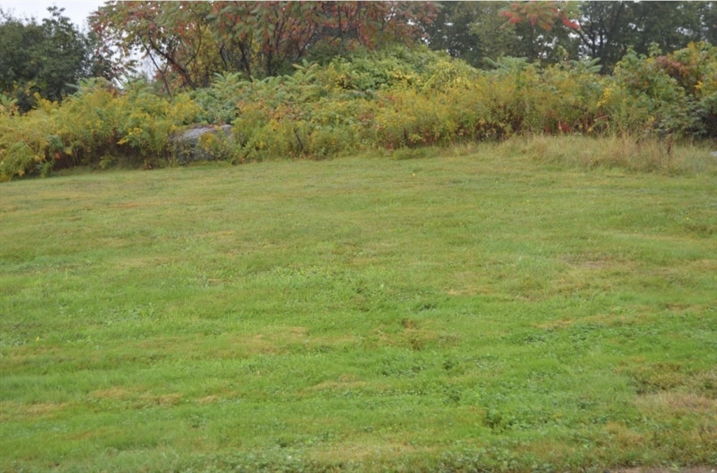 75 Potter Hill Road Grafton, MA 01519 - Photo 2 of 9 a view of an ocean from a yard