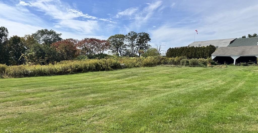 75 Potter Hill Road Grafton, MA 01519 - Photo 5 of 9 a view of a big yard with plants and large trees