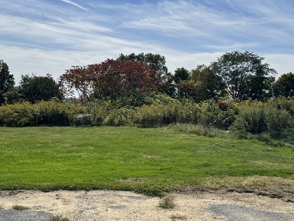 75 Potter Hill Road Grafton, MA 01519 - Photo 6 of 9 a big yard with lots of green space