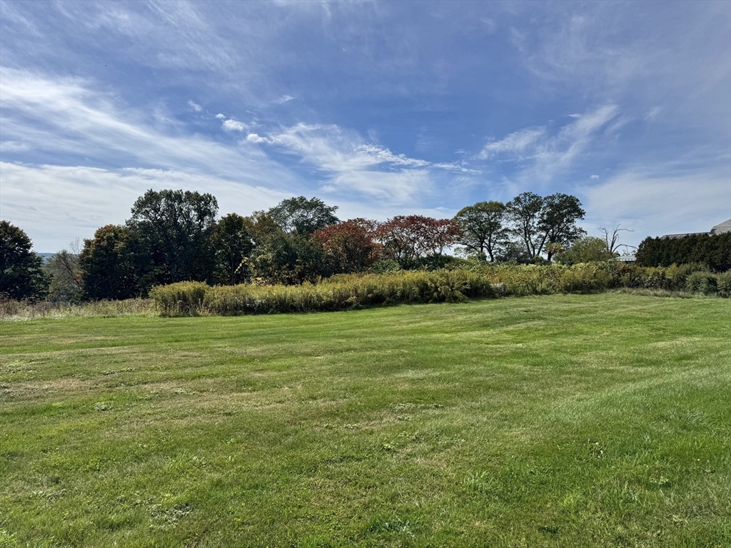 75 Potter Hill Road Grafton, MA 01519 - Photo 7 of 9 a view of a field with an trees