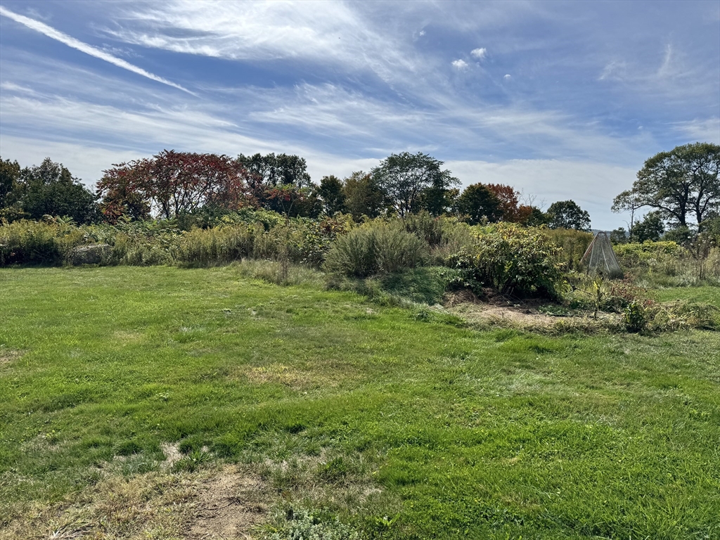 75 Potter Hill Road Grafton, MA 01519 - Photo 9 of 9 a view of an outdoor space and a yard
