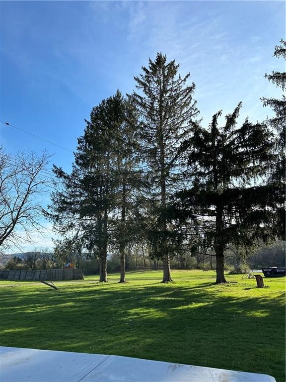 113 Olcott Road North Big Flats, NY 14814 - Photo 18 of 18