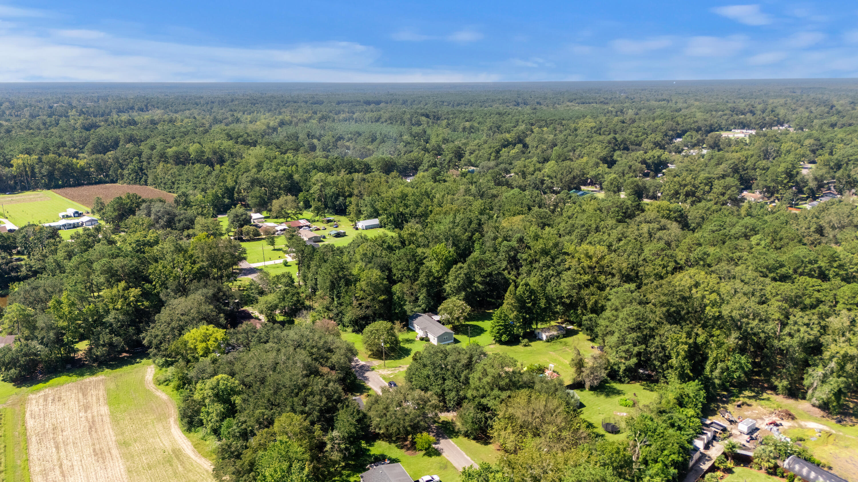 139 Reed Street Summerville, SC 29483 - Photo 6 of 32 DJI_20250827113527_0465_D
