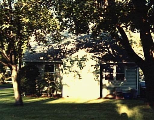 37 Albin Road Stamford, CT 06902 - Photo 1 of 1 a view of yard from a tree