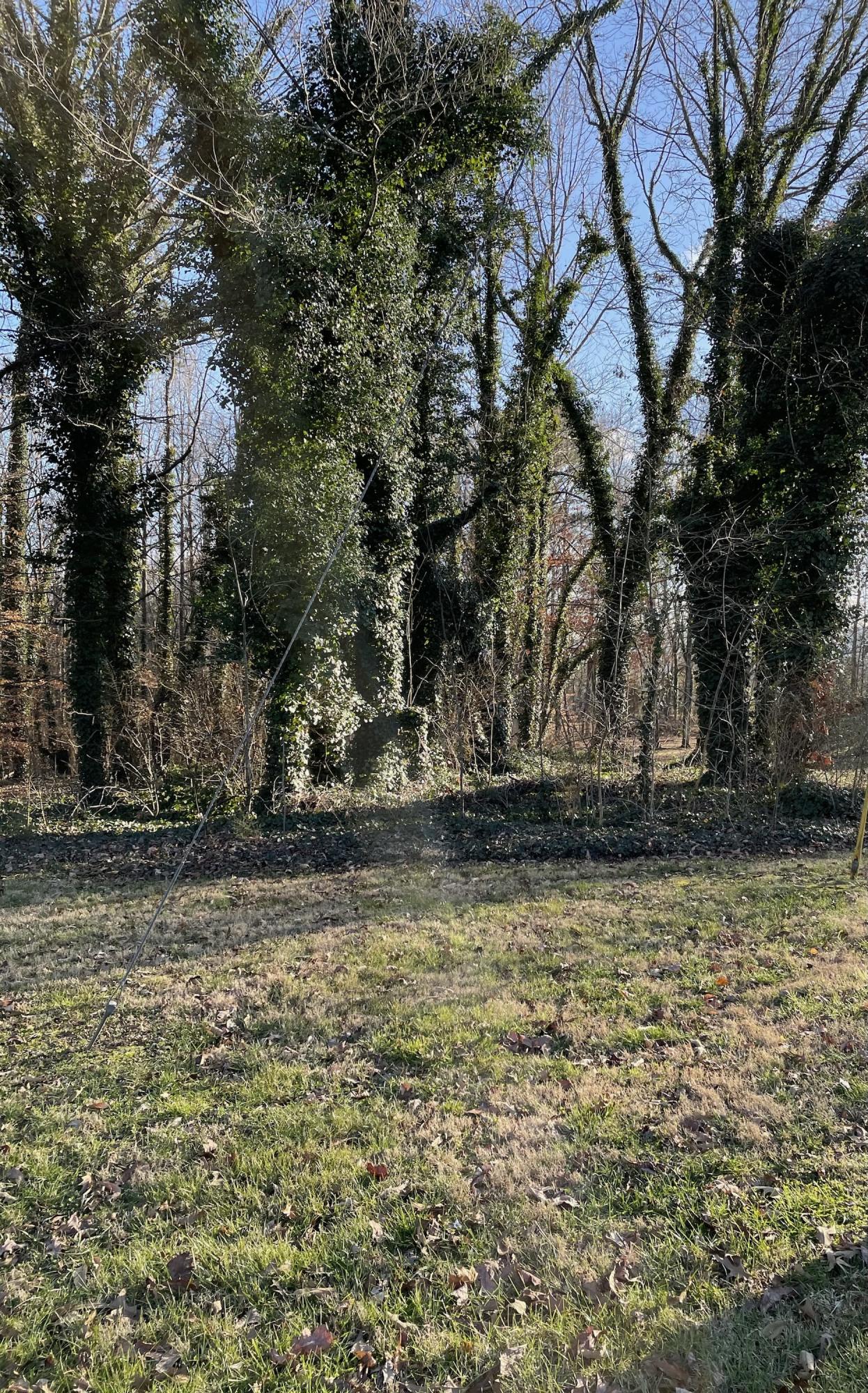 7833 Stanley Road Powell, TN 37849 - Photo 2 of 2 84D4BCFD-BA7E-448E-8AB1-319790B4F141