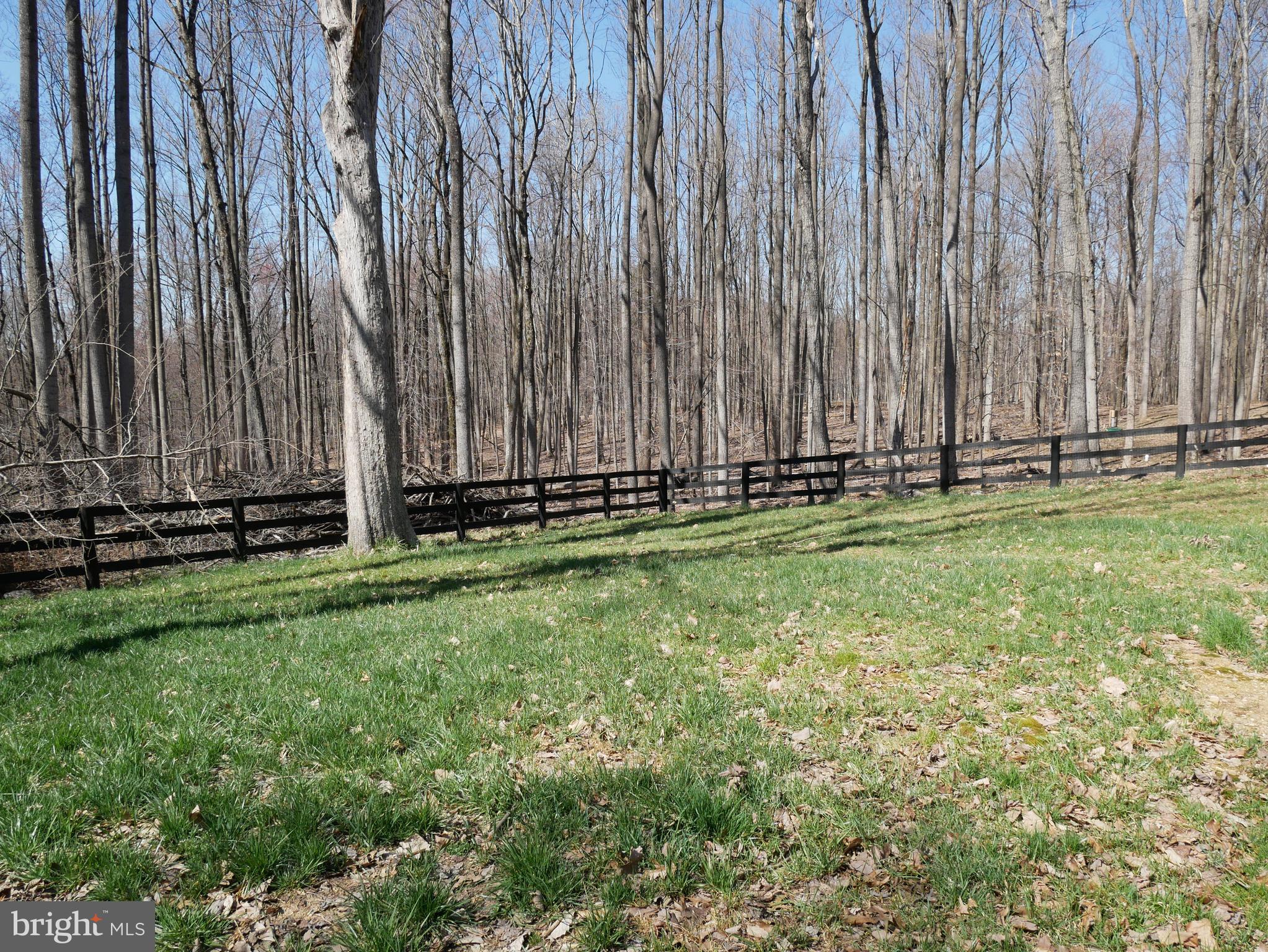 4620 Ebenezer Road Bluemont, VA 20135 - Photo 29 of 30 4620 Ebenezer Road Fenced Back Yard