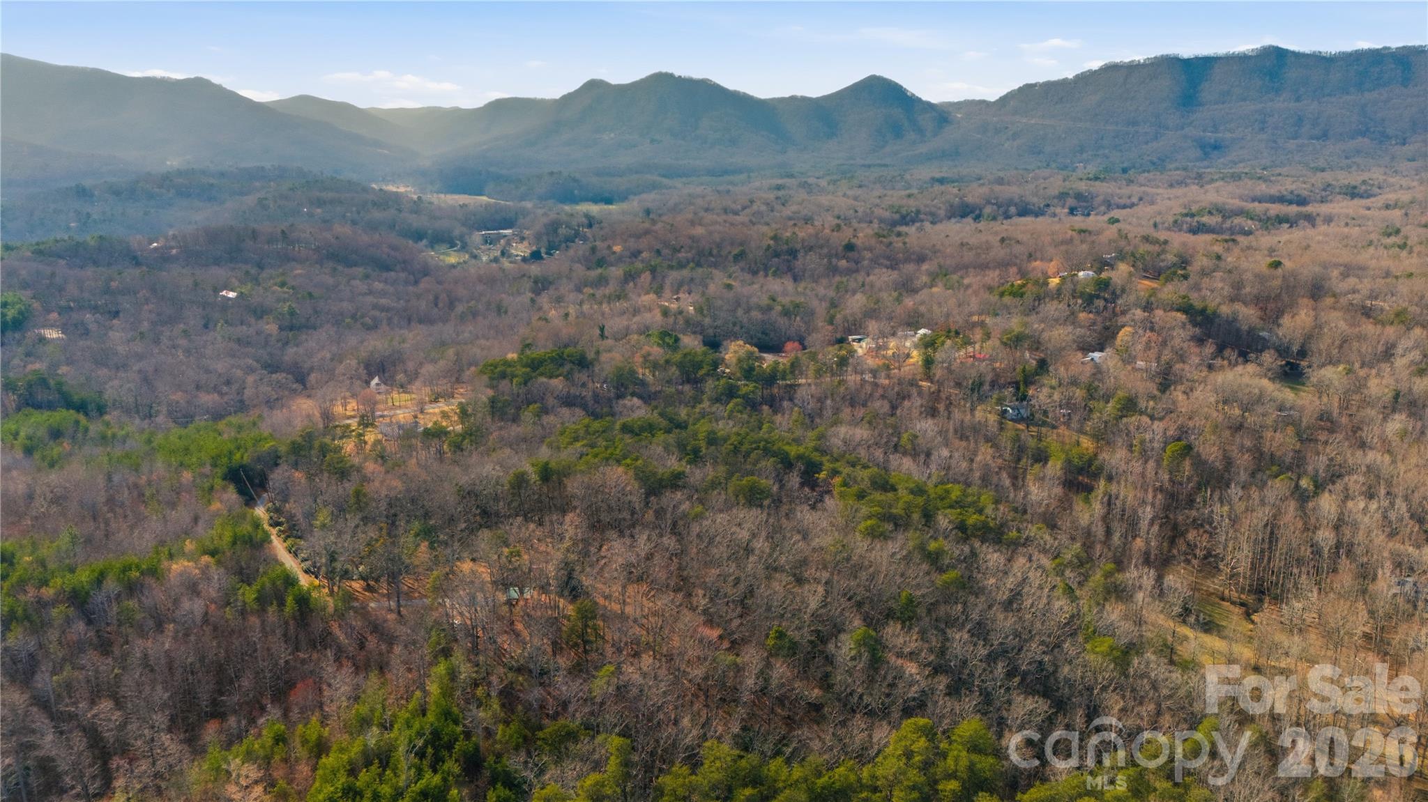 0 Hooker Road Columbus, NC 28722 - Photo 12 of 23 a view of a mountain range with trees in the background