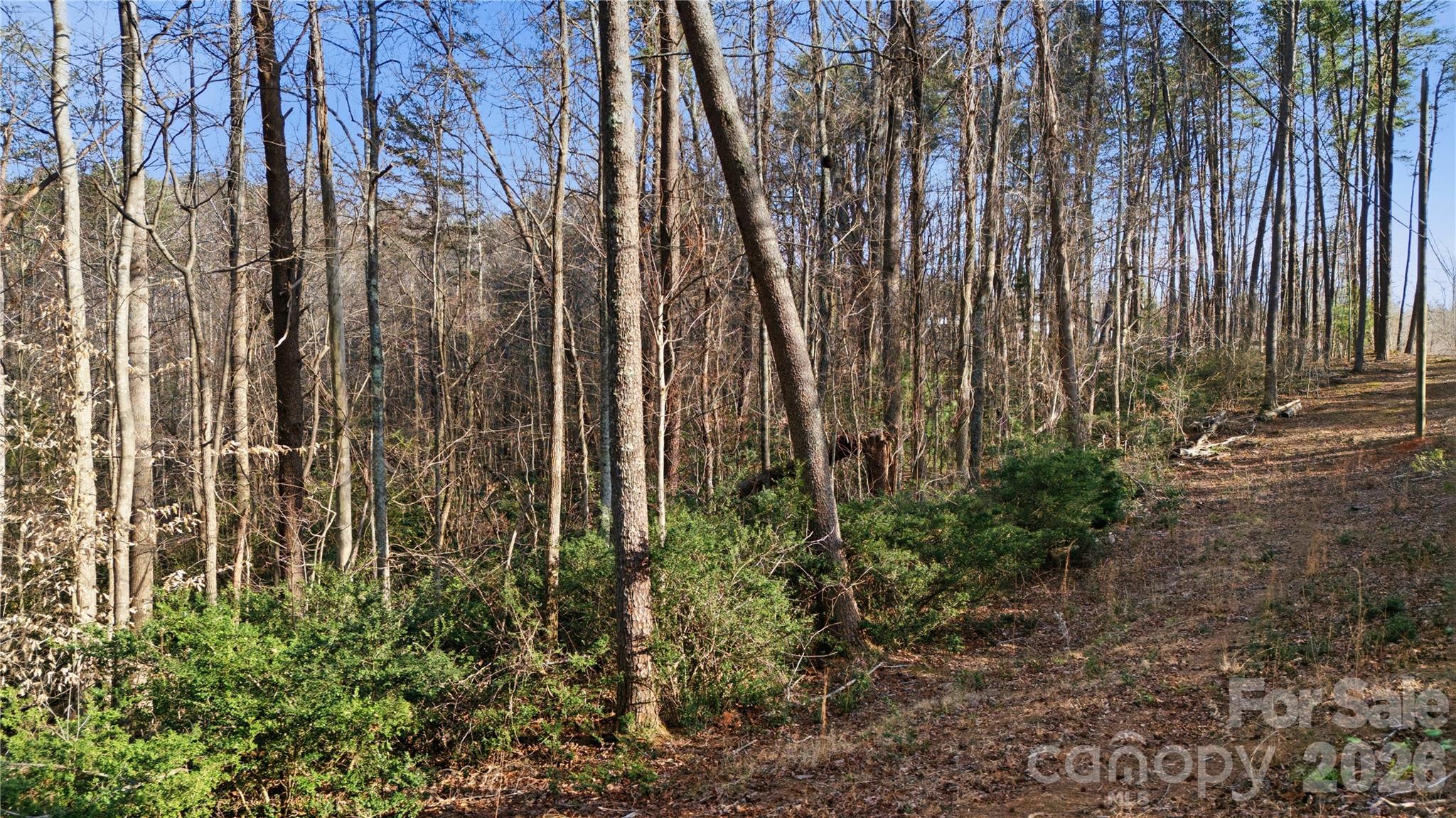 0 Hooker Road Columbus, NC 28722 - Photo 13 of 23 a view of a backyard with pathway