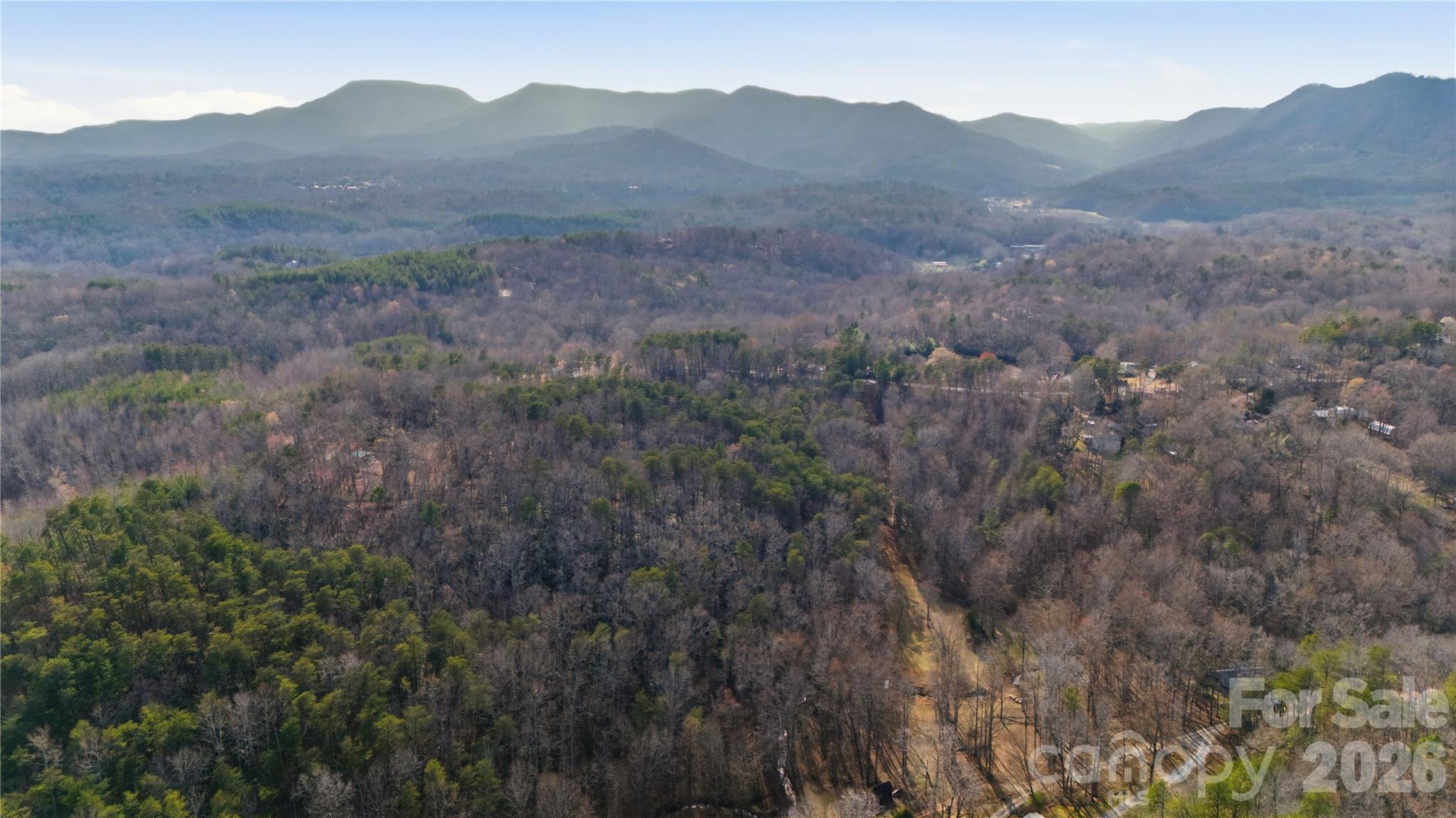 0 Hooker Road Columbus, NC 28722 - Photo 14 of 23 a view of a mountain range with trees in the background