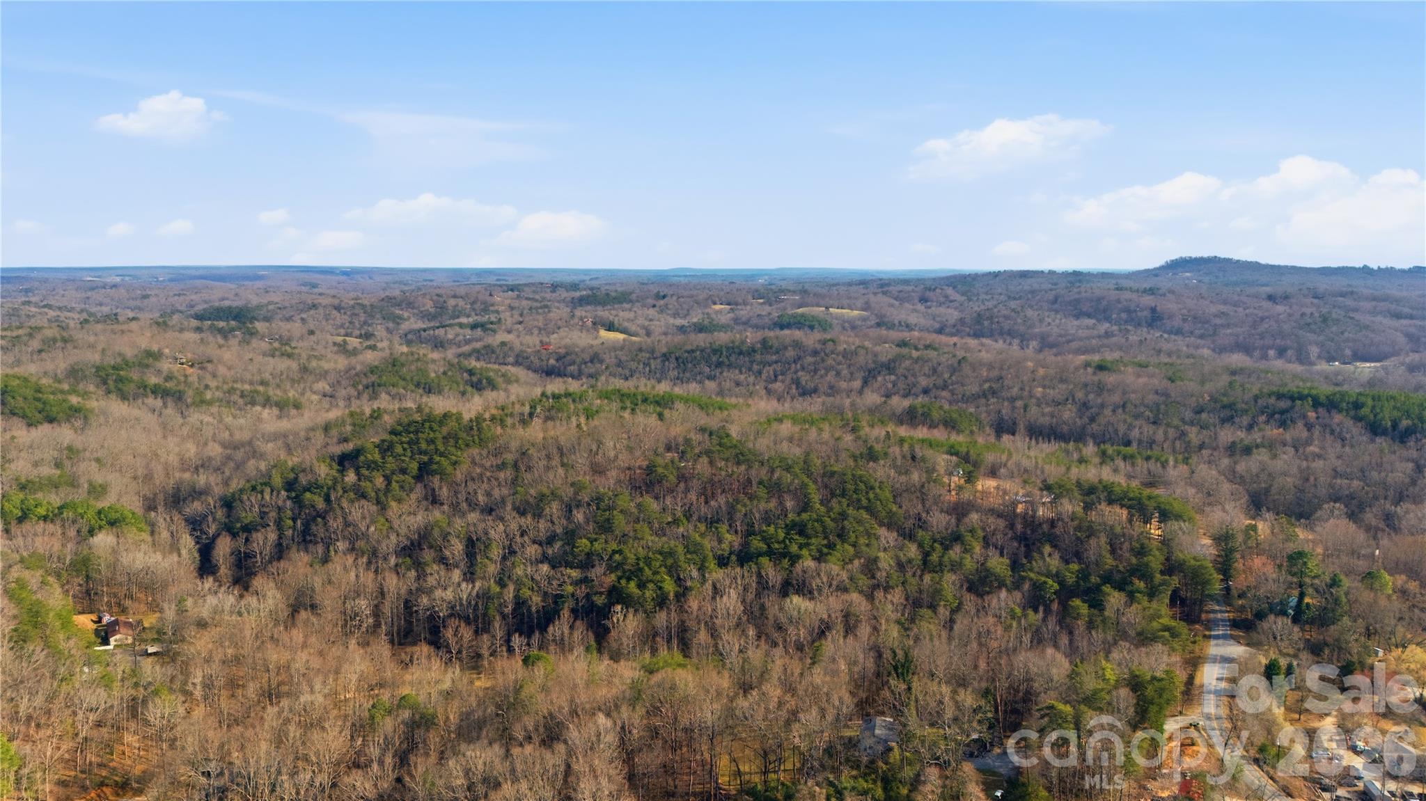 0 Hooker Road Columbus, NC 28722 - Photo 17 of 23 a view of a city with lush green forest