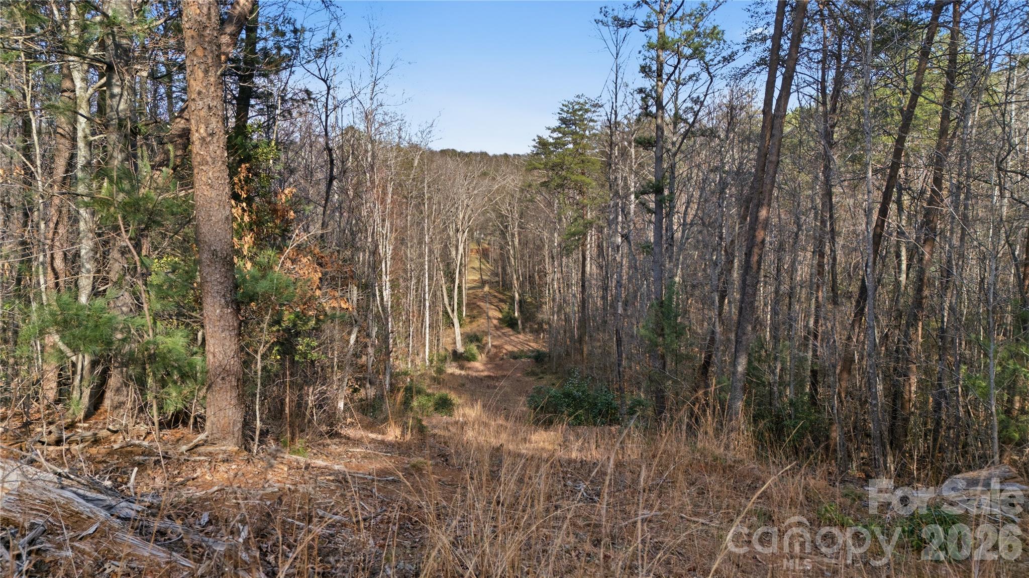 0 Hooker Road Columbus, NC 28722 - Photo 18 of 23 a view of a yard with trees