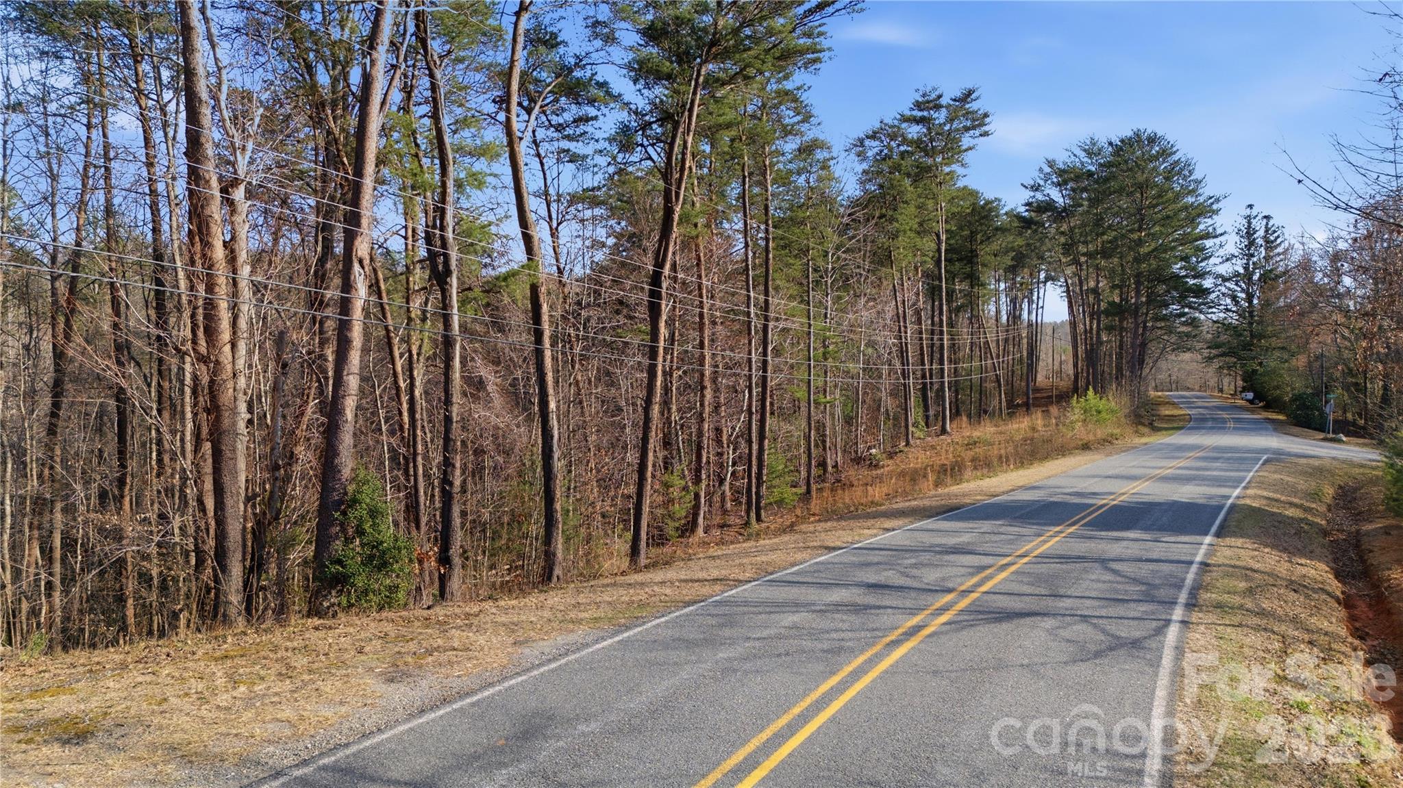 0 Hooker Road Columbus, NC 28722 - Photo 21 of 23 a view of backyard with tree