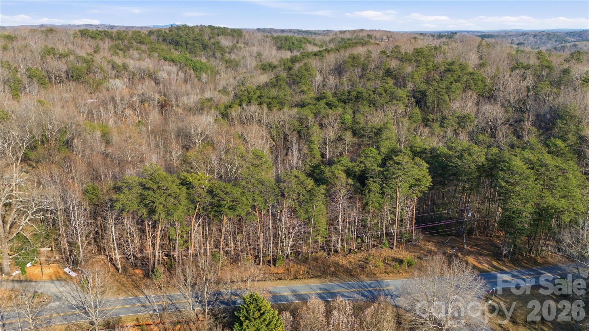 0 Hooker Road Columbus, NC 28722 - Photo 22 of 23 a view of a yard with trees in front of it