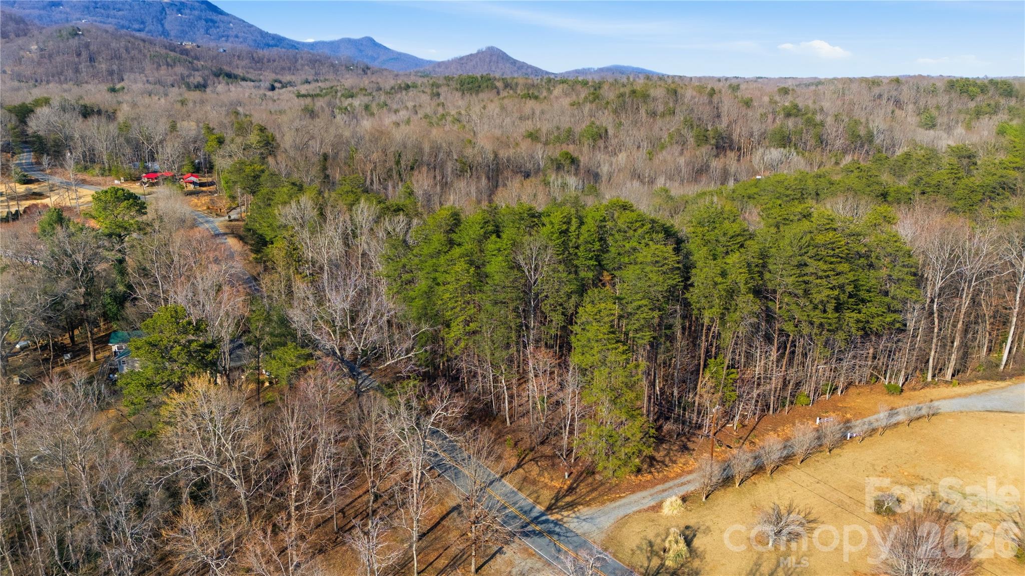 0 Hooker Road Columbus, NC 28722 - Photo 23 of 23 a view of lake and mountain