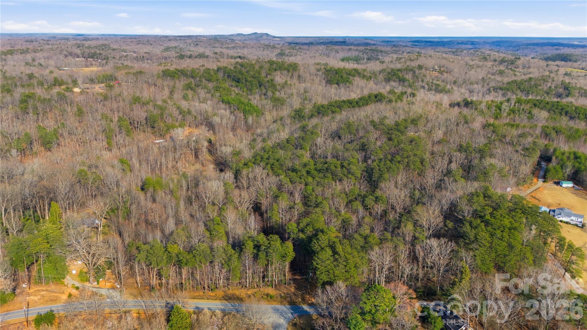 0 Hooker Road Columbus, NC 28722 - Photo 6 of 23 a view of a city with lush green forest