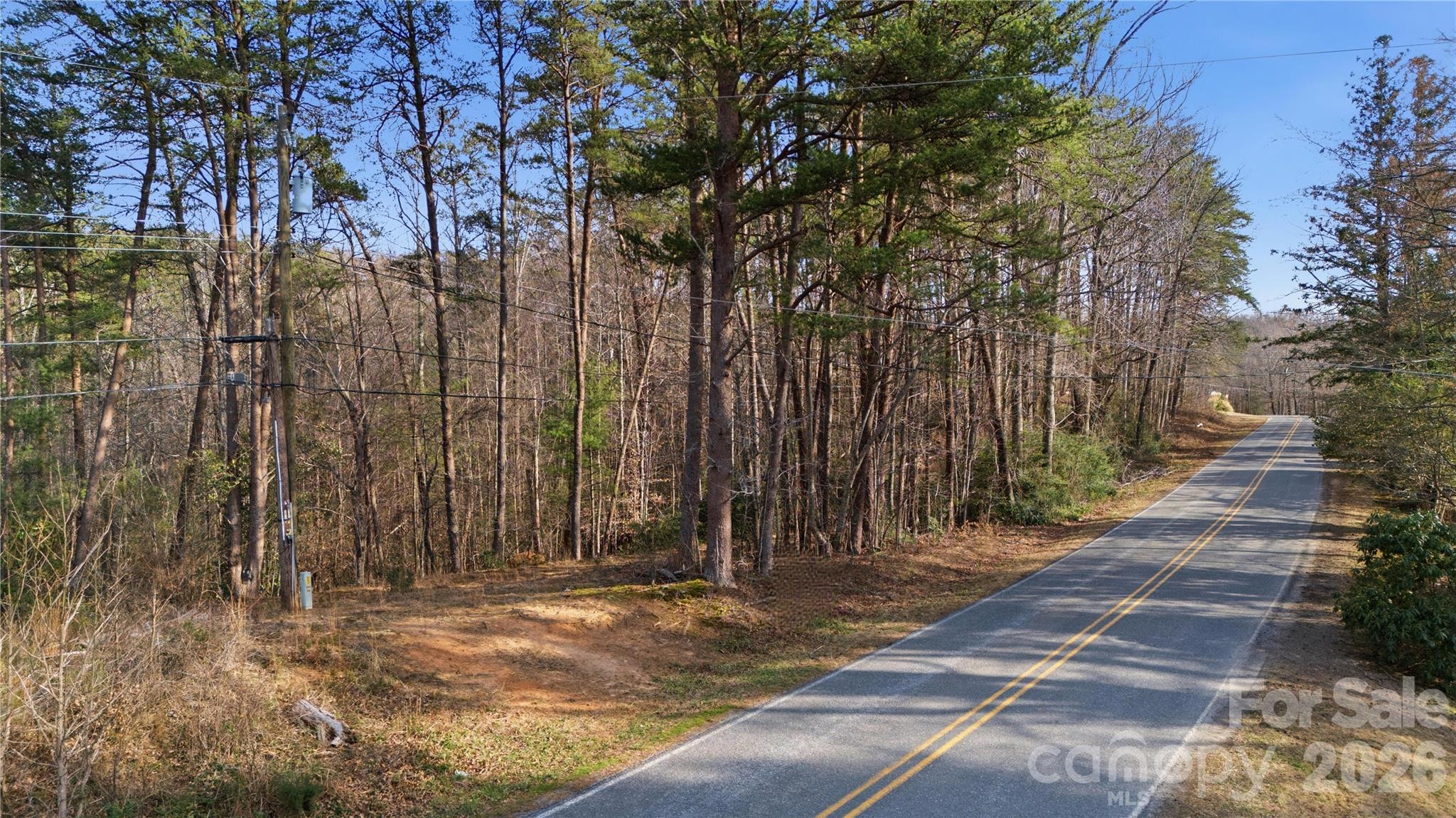 0 Hooker Road Columbus, NC 28722 - Photo 7 of 23 a view of backyard space