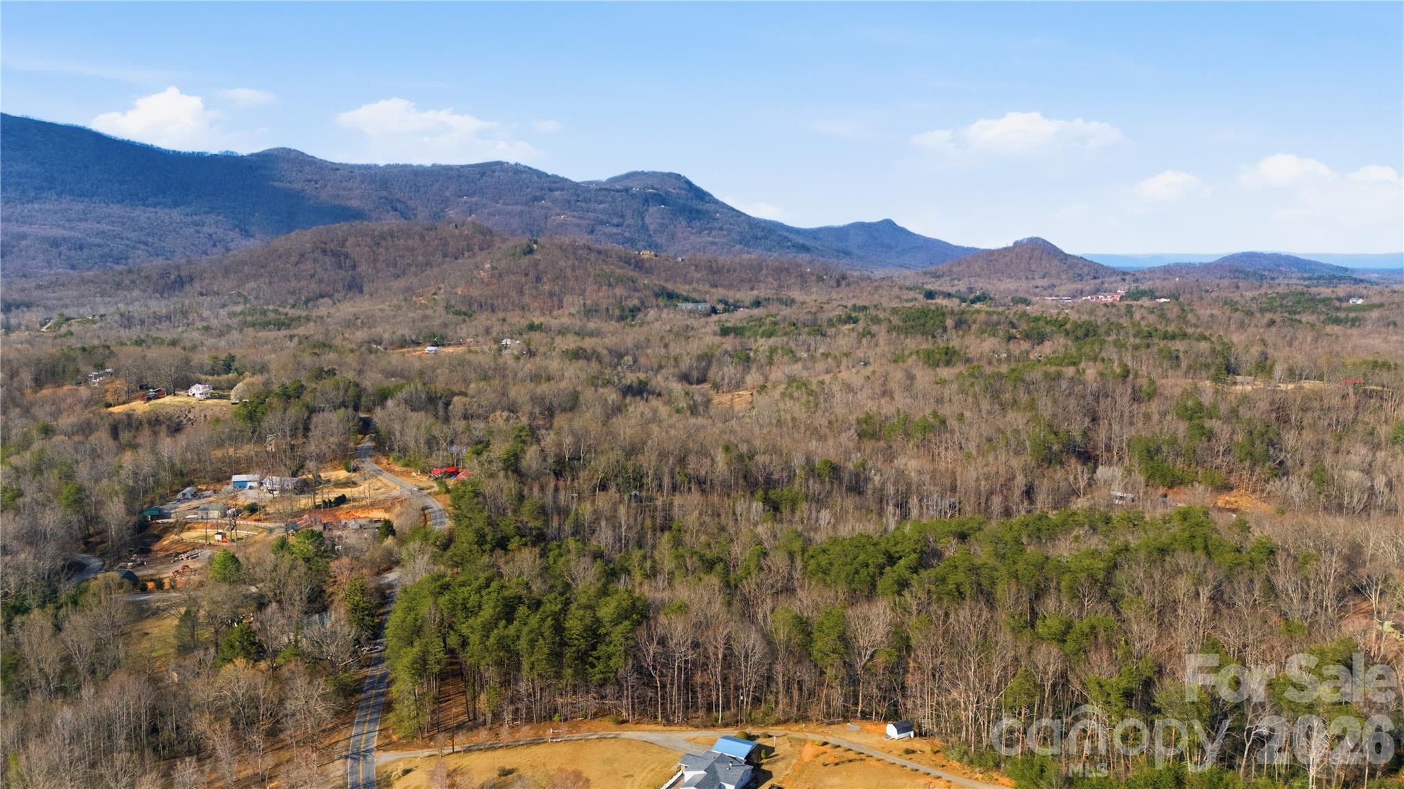 0 Hooker Road Columbus, NC 28722 - Photo 10 of 23 a view of a forest with mountains in the background