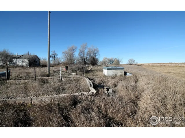 a open area with green field and trees
