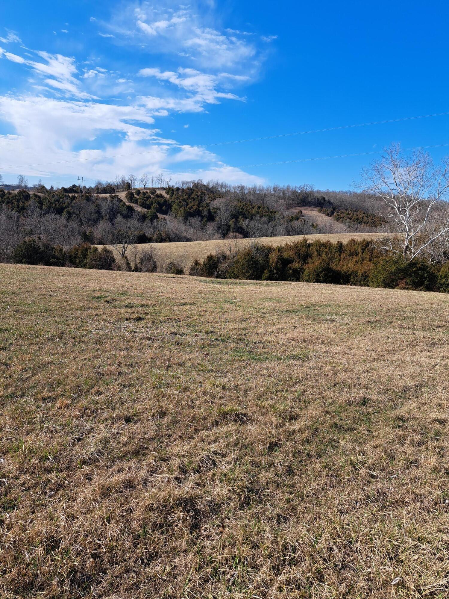 0 Cordova Road Corinth, KY 41010 - Photo 7 of 11 Gallery Image 7
