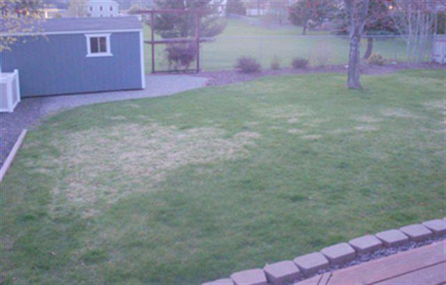 3410 South Van Marter Road Spokane Valley, WA 99206 - Photo 6 of 6 Gallery Image 6