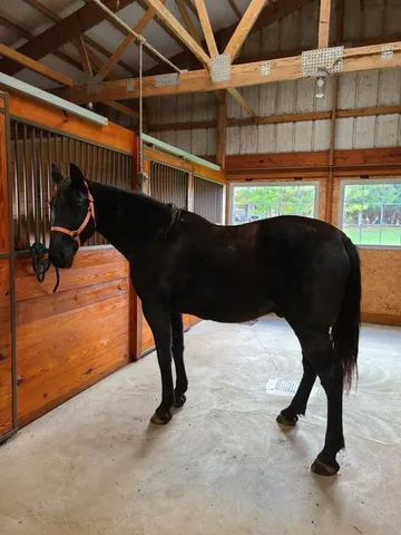 $499,900 | N700 South P3 Lane, Menominee, MI 49858