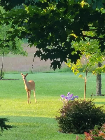 $499,900 | N700 South P3 Lane, Menominee, MI 49858