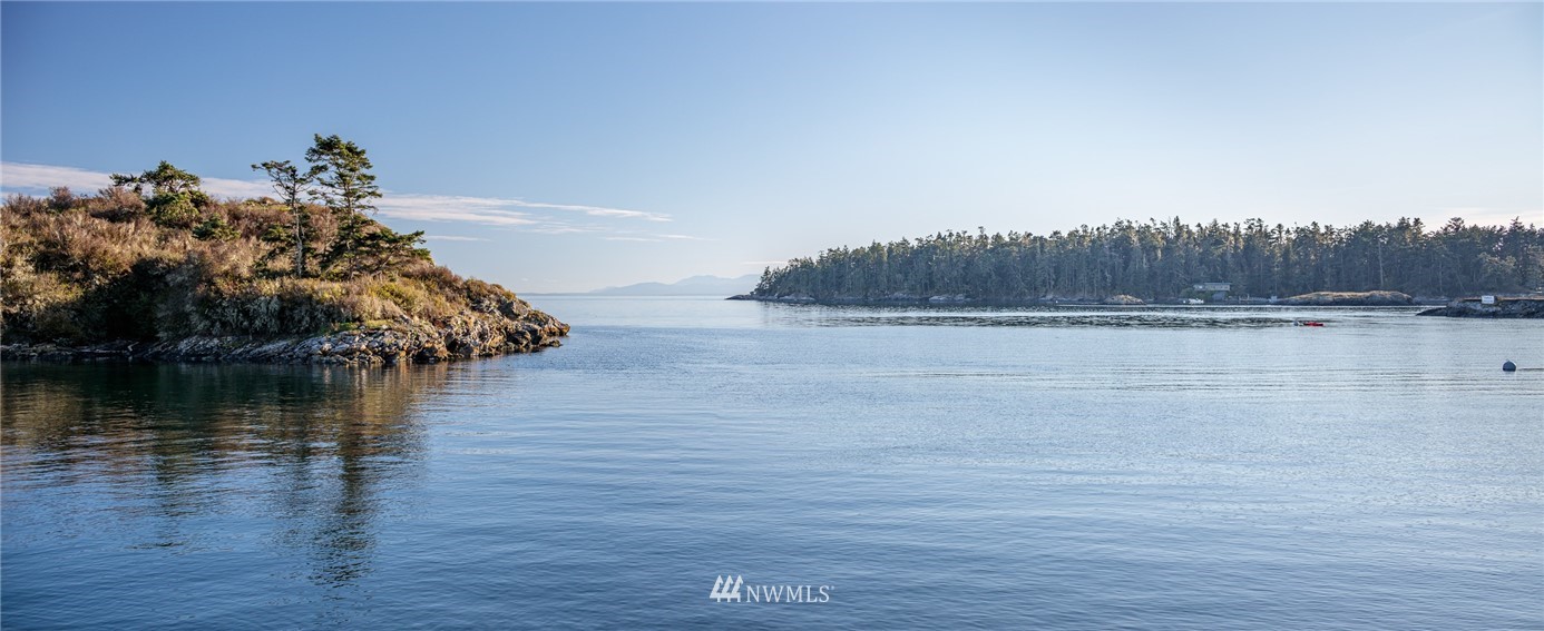 209 Hodgson Road Lopez Island, WA 98261 - Photo 18 of 20 a view of a lake with a mountain in the background