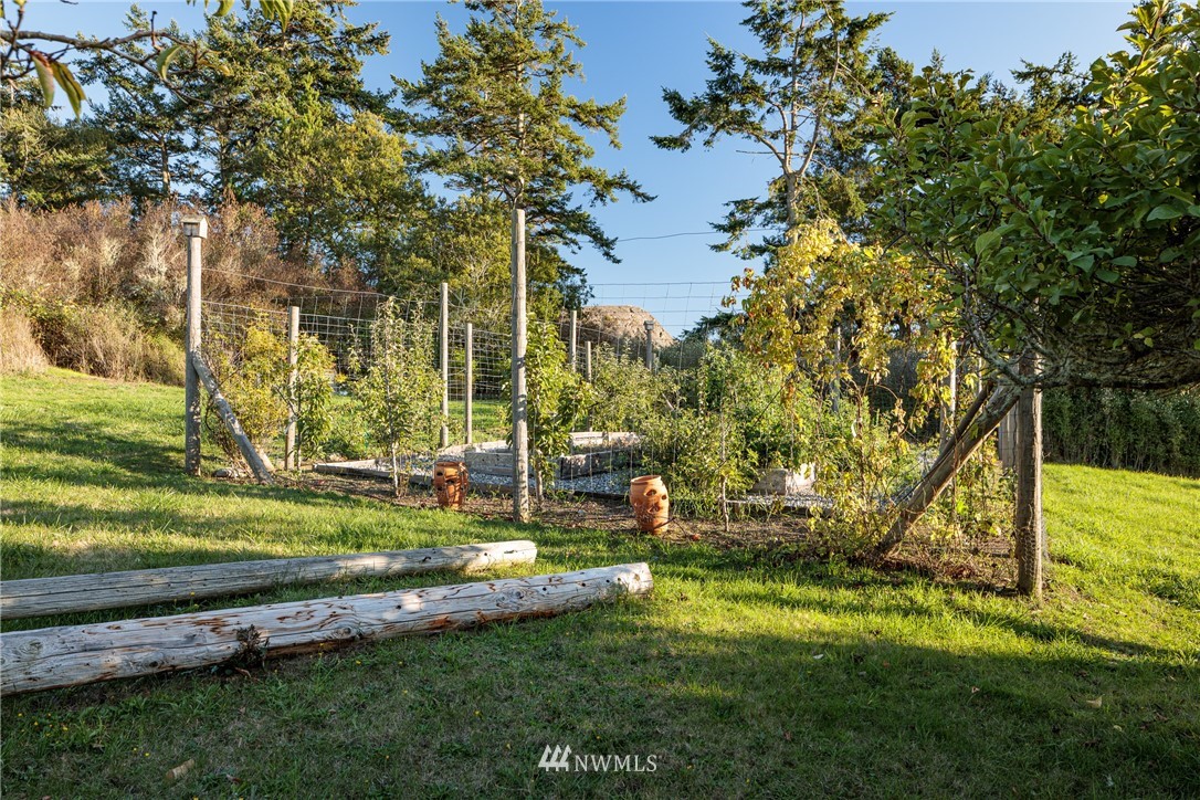 209 Hodgson Road Lopez Island, WA 98261 - Photo 19 of 20 a view of a park with large trees