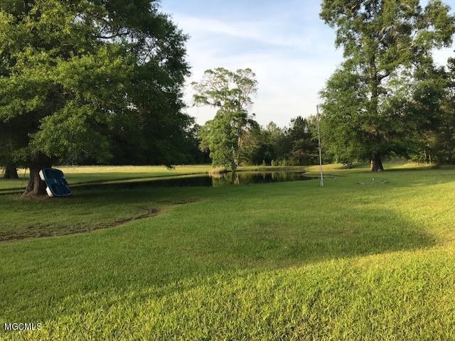 1768 Gum Pond Road Lumberton, MS 39455 - Photo 8 of 8 1768gumpondLAND