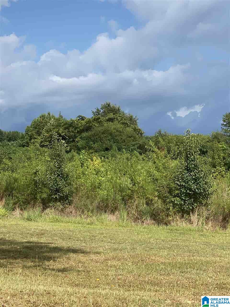 Corner School Road Warrior, AL 35180 - Photo 11 of 11
