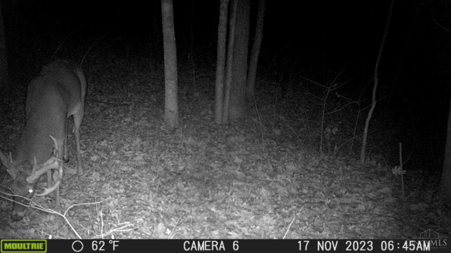 0 Devore Road Ripley, OH 45167 - Photo 30 of 63