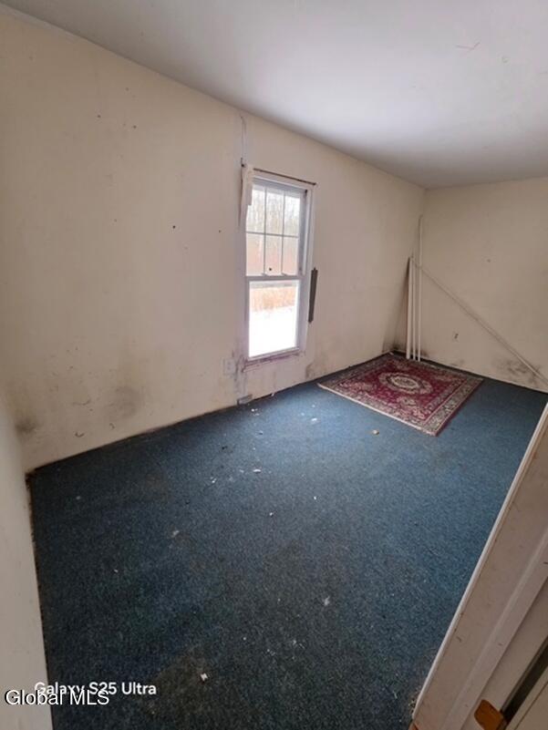 324 Federal City Road Middleburgh, NY 12122 - Photo 6 of 12 2981133346570908975