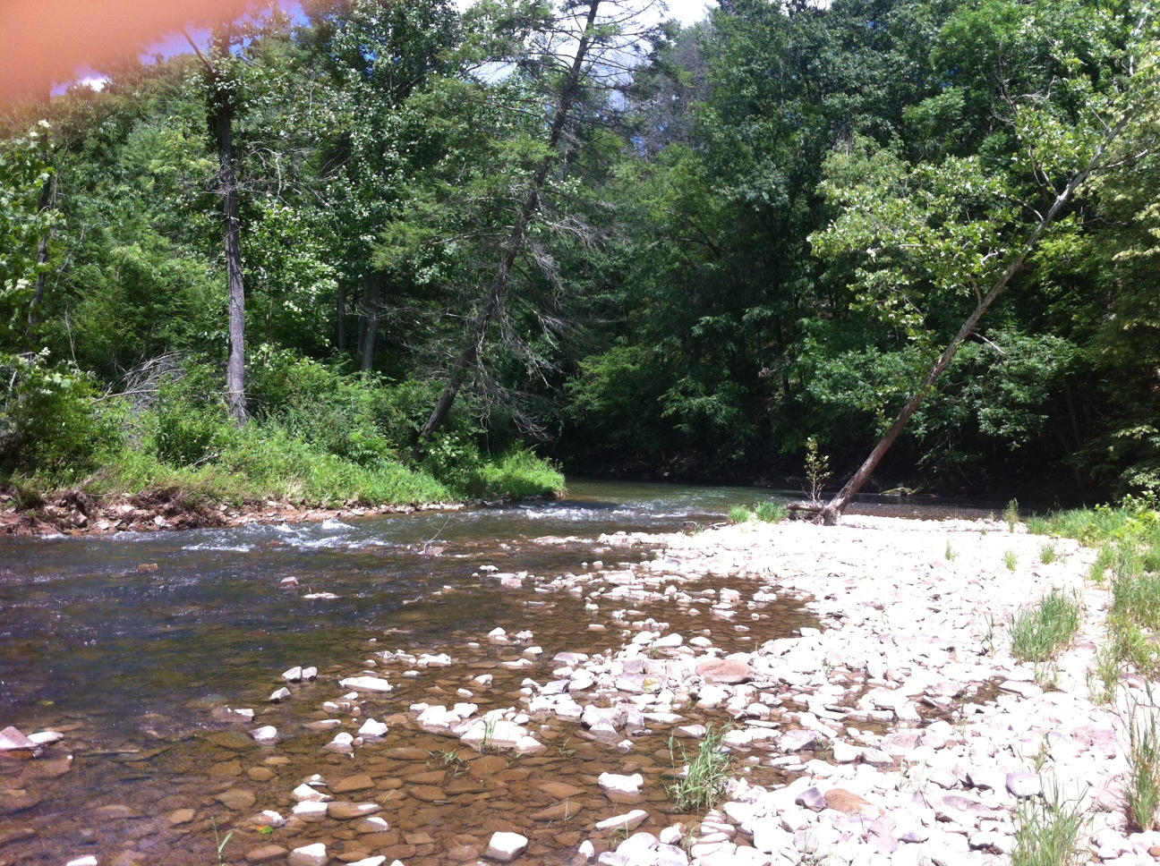 Lot 4 Hoke's Mill Road Ronceverte, WV 24970 - Photo 1 of 4 Gallery Image 1