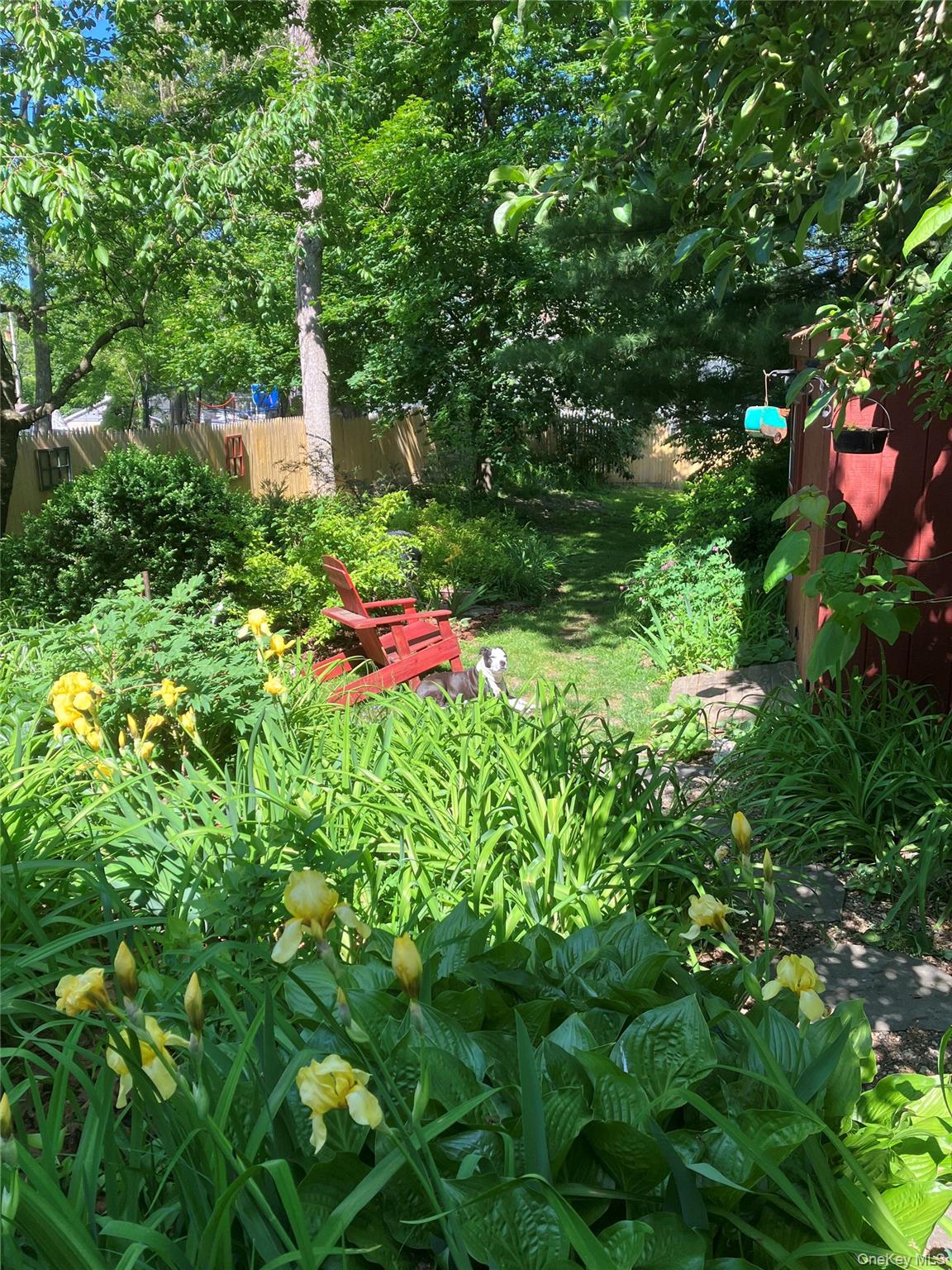 46 Union Street Montgomery, NY 12549 - Photo 34 of 38 a view of a flower in a garden