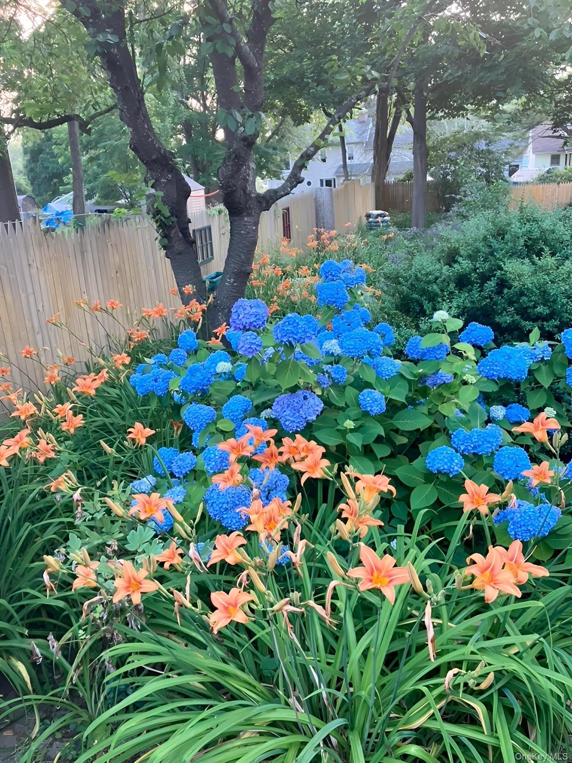 46 Union Street Montgomery, NY 12549 - Photo 35 of 38 a picture of flowers