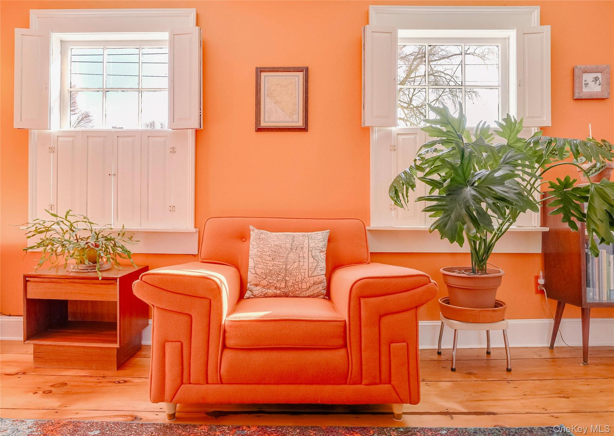 46 Union Street Montgomery, NY 12549 - Photo 8 of 38 a living room with furniture and a potted plant