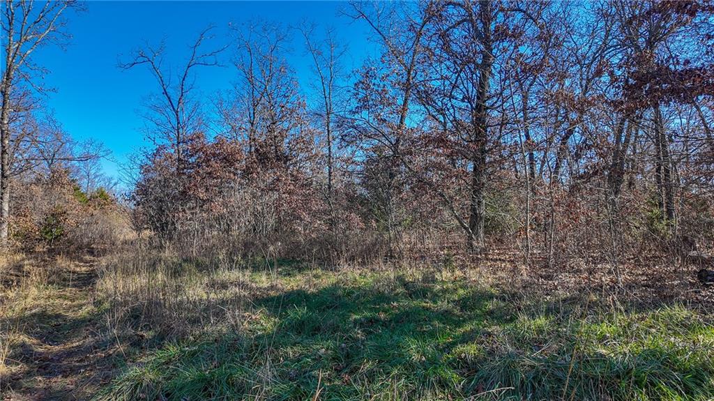 0 Southeast 1151st Road Collins, MO 64738 - Photo 40 of 43 Gallery Image 40