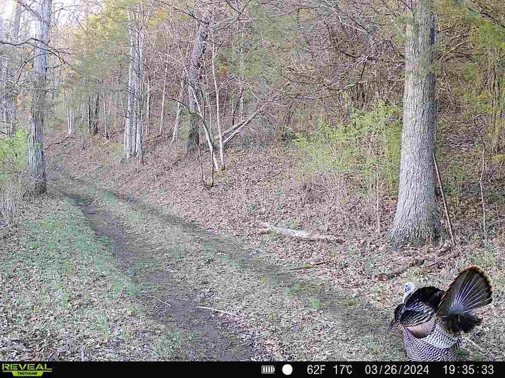 651 Fairview Road Salvisa, KY 40372 - Photo 39 of 40 Attachment