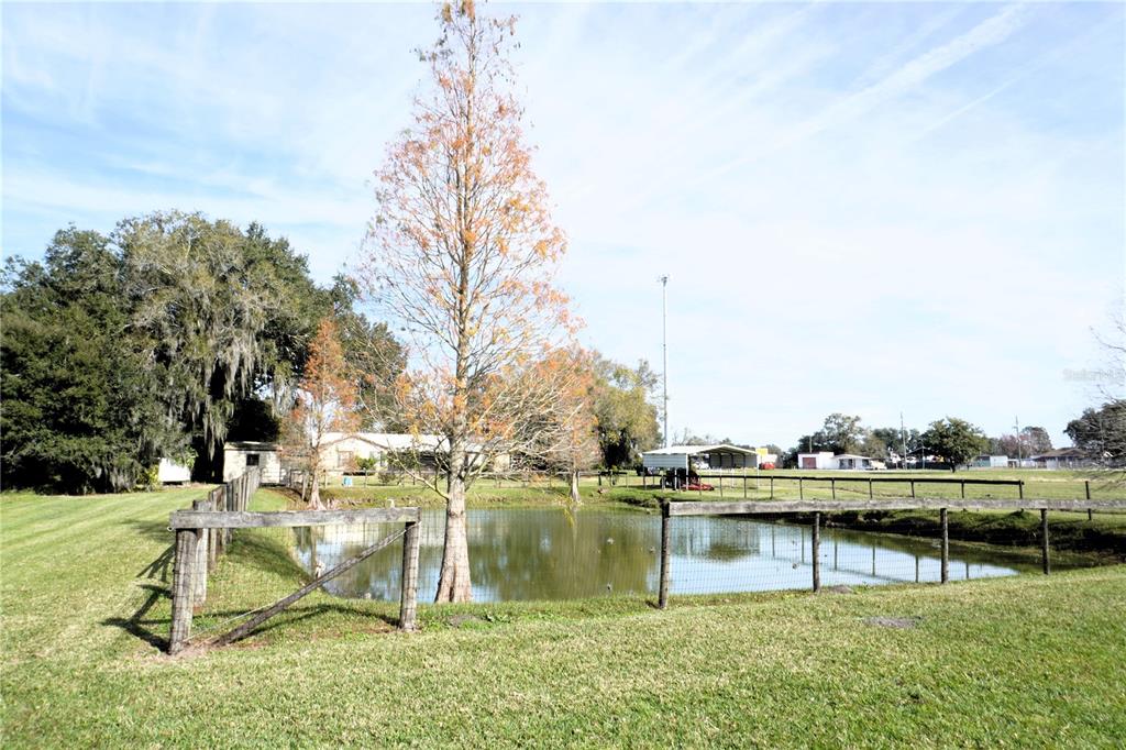 2407 Medulla Road Plant City, FL 33566 - Photo 11 of 38