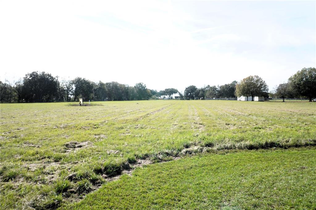 2407 Medulla Road Plant City, FL 33566 - Photo 12 of 38