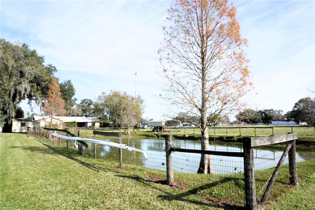 2407 Medulla Road Plant City, FL 33566 - Photo 8 of 38