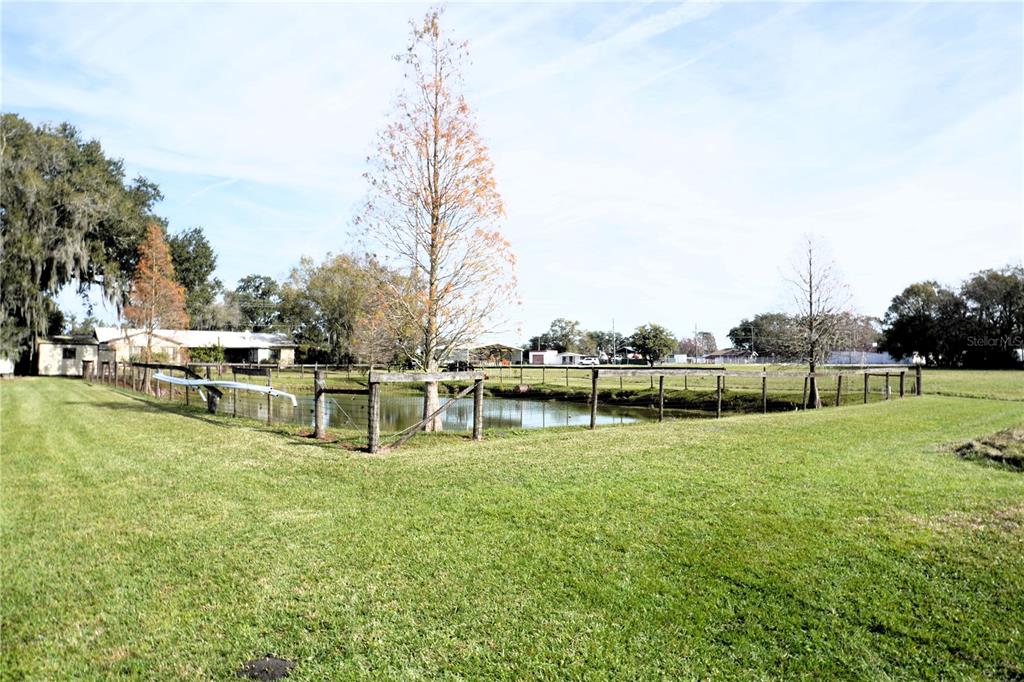 2407 Medulla Road Plant City, FL 33566 - Photo 10 of 38